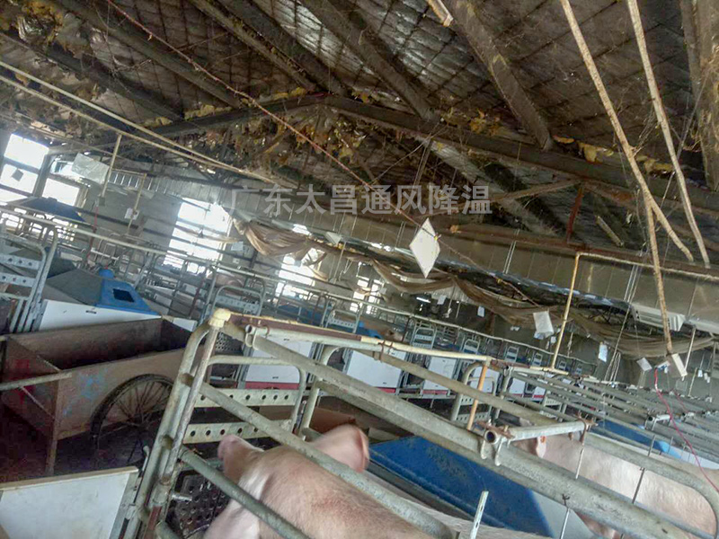 養(yǎng)殖場通風降溫3