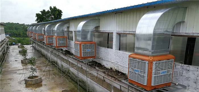 原來(lái)還有這么省錢(qián)的通風(fēng)降溫方案 趕緊收藏起來(lái)