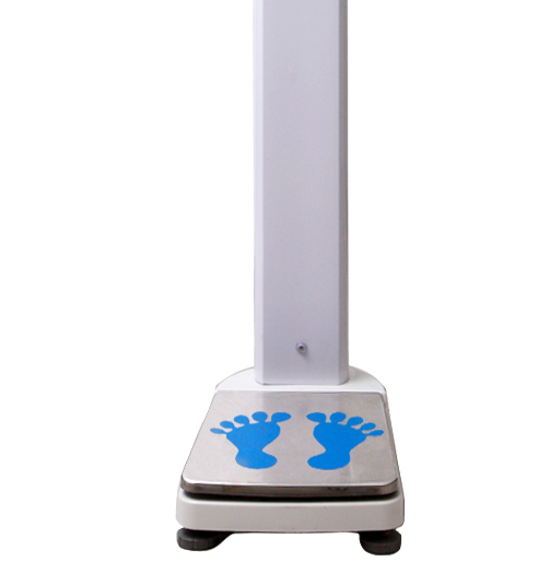 �O����y(c��)�������z�y(c��)