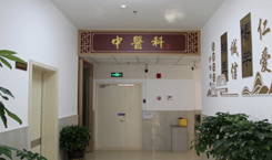 ���t(y��)��