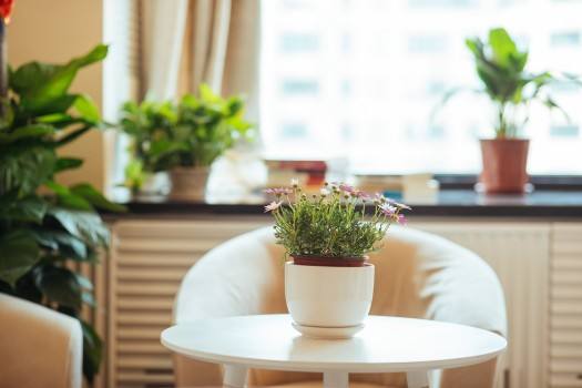 ����С��ģ�K�c�W(w��ng)�j(lu��)���_����(w��)��ͨ��